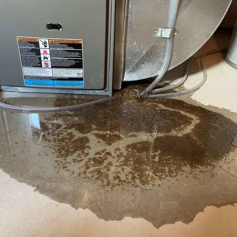 Appliance Leak Cleanup in Eleele, HI