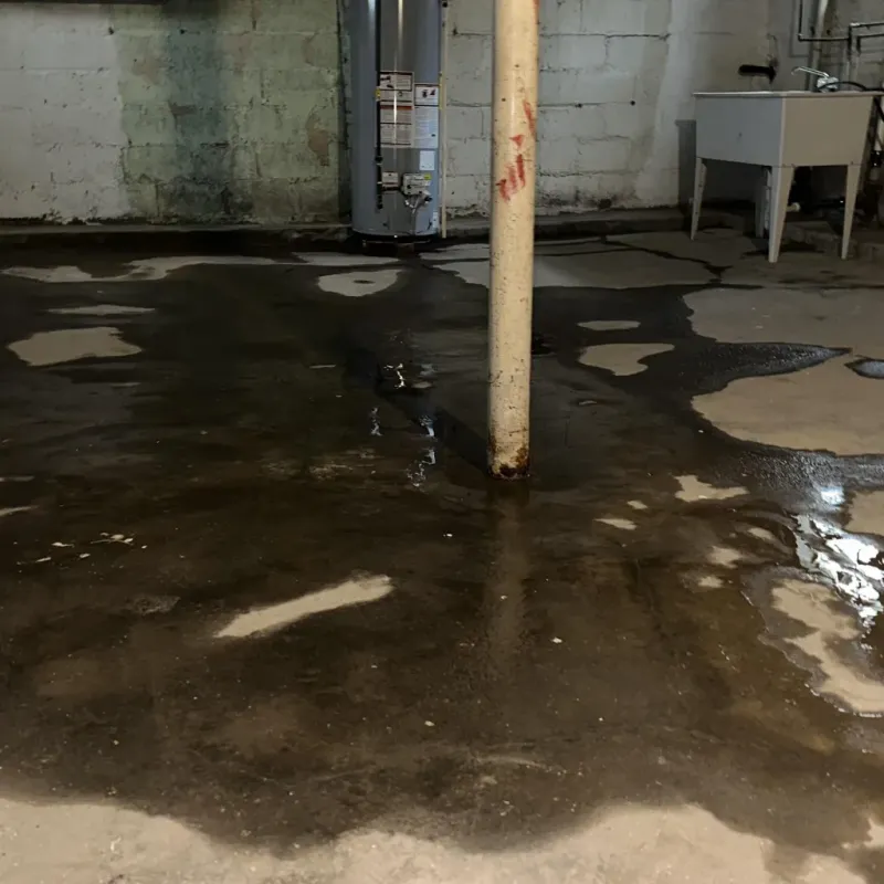 Emergency Water Extraction And Removal in Eleele, HI